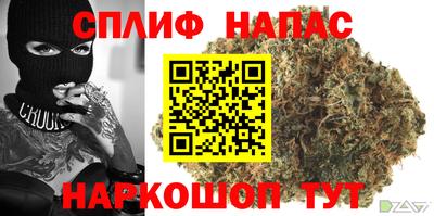 PSILOCYBIN Обнинск