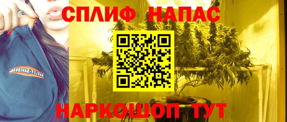 A PVP Ржев