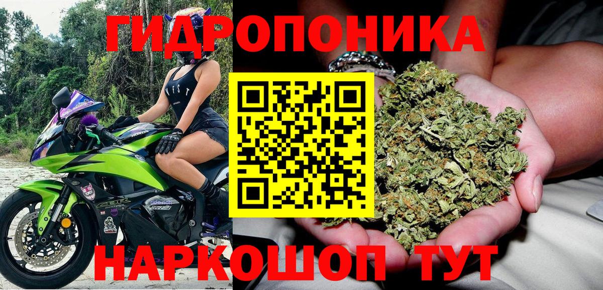 Ржев  МАРИХУАНА планчик  Бошки Шишки White Widow  Вход с VPN  Конопля OG Kush 